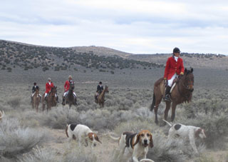 Fox Hunt in Nevada